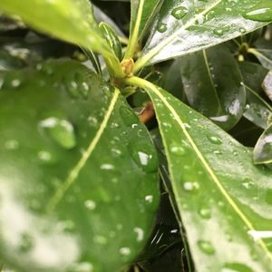 Meet your Posher, Cruz